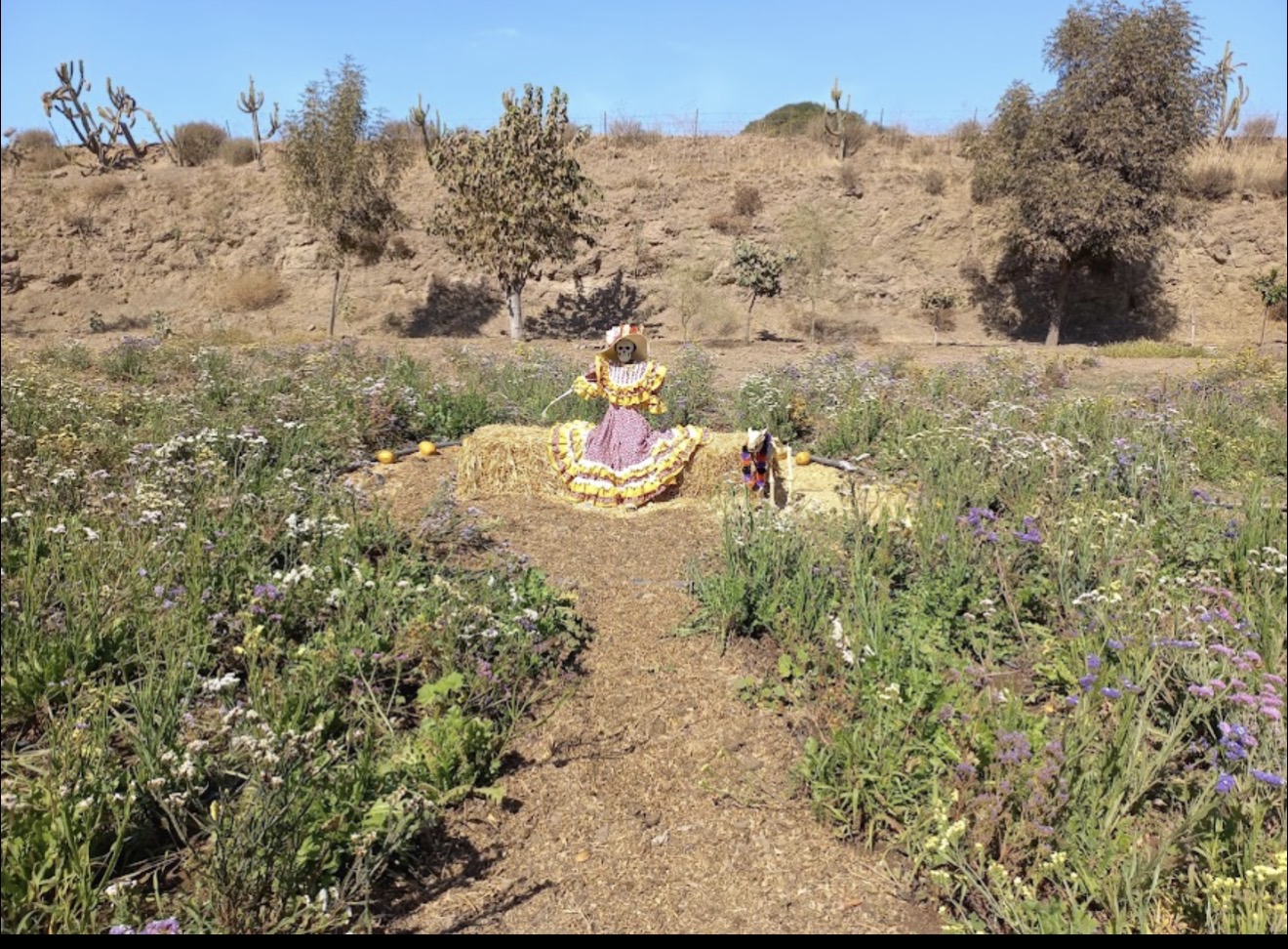 Decoración de Día de Muertos entre flores silvestres