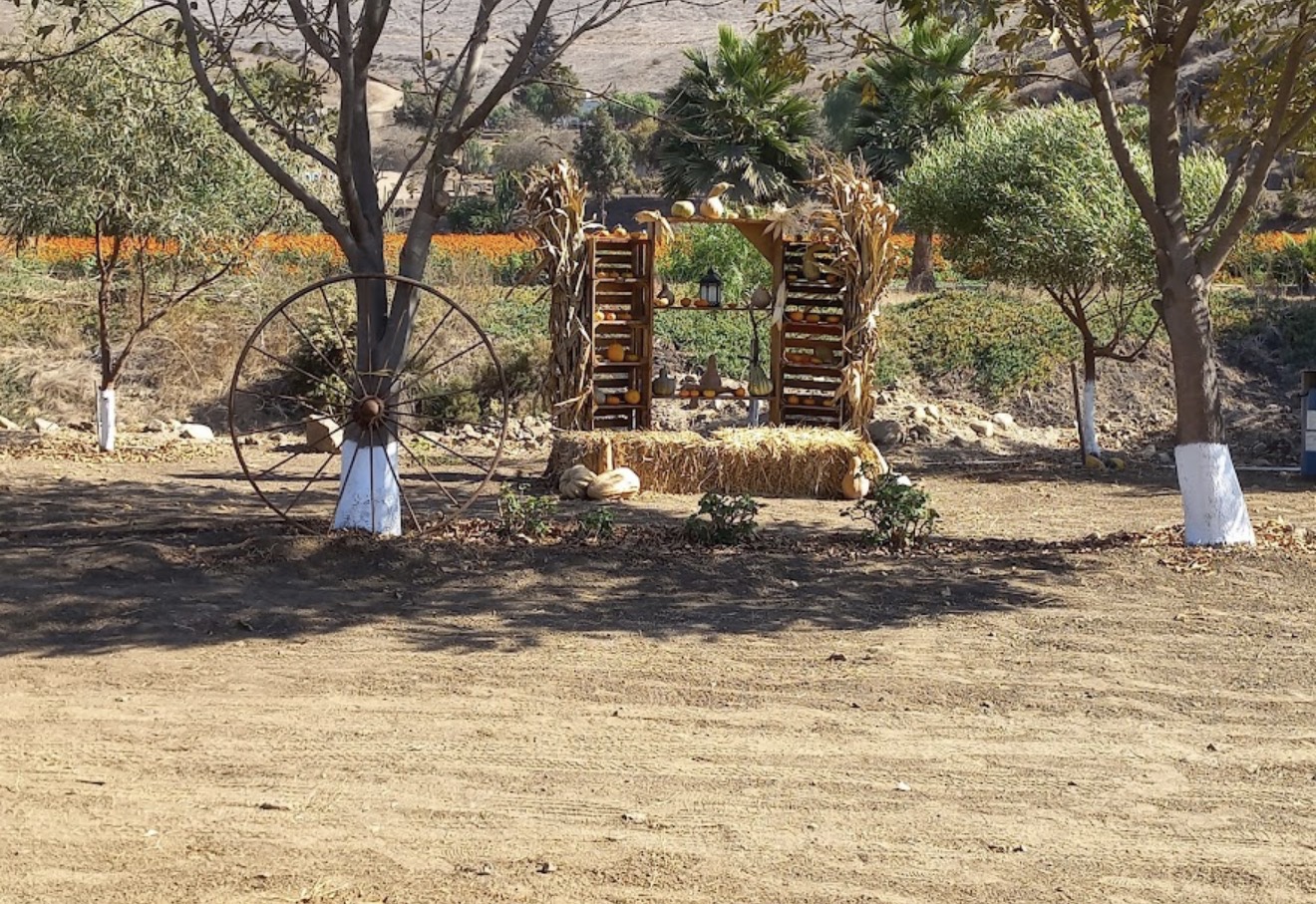 Spot fotográfico de otoño con calabazas y pacas de paja