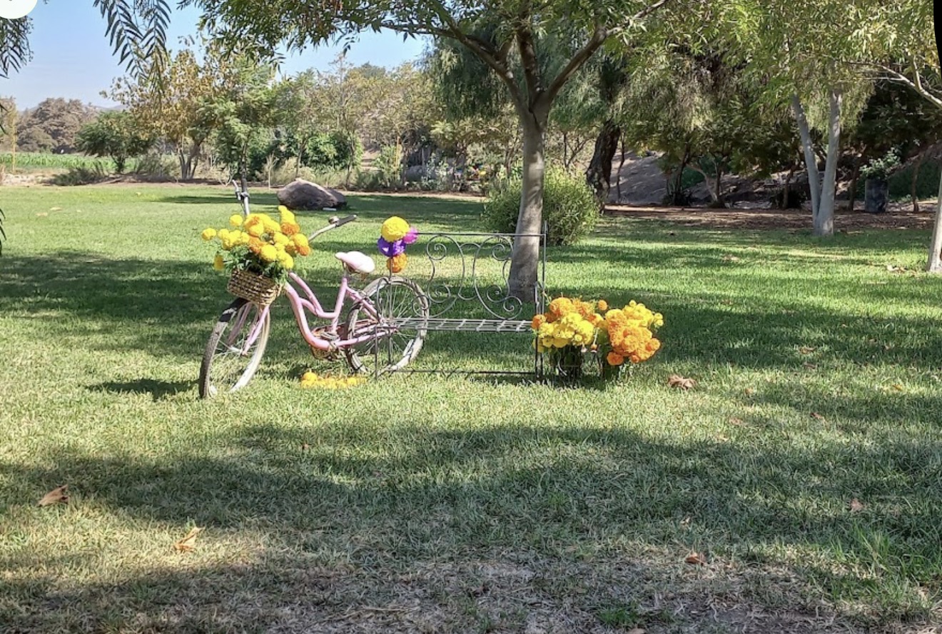 Bicicleta decorada con flores de cempasúchil en el jardín