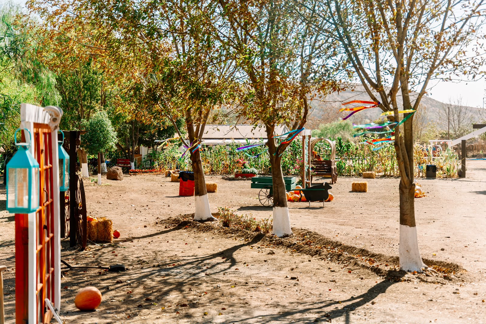 Jardín con faroles, listones de colores y calabazas